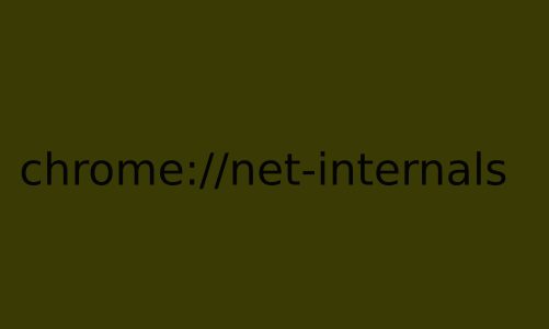 Looking Into chrome://net-internals: Everything You Need to Know About Chrome’s Network Diagnostics Tool.