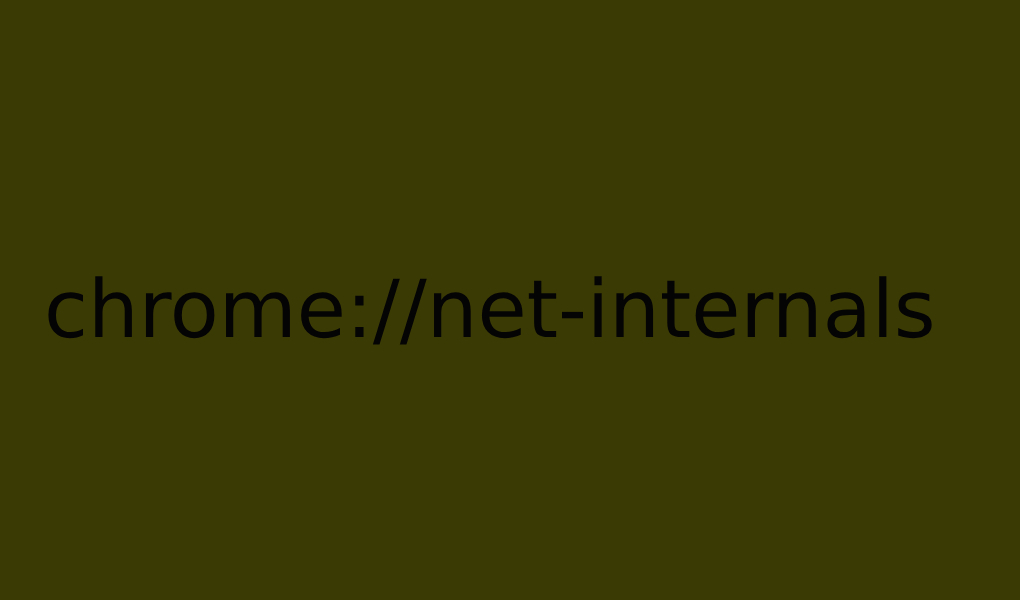 chrome___net-internals